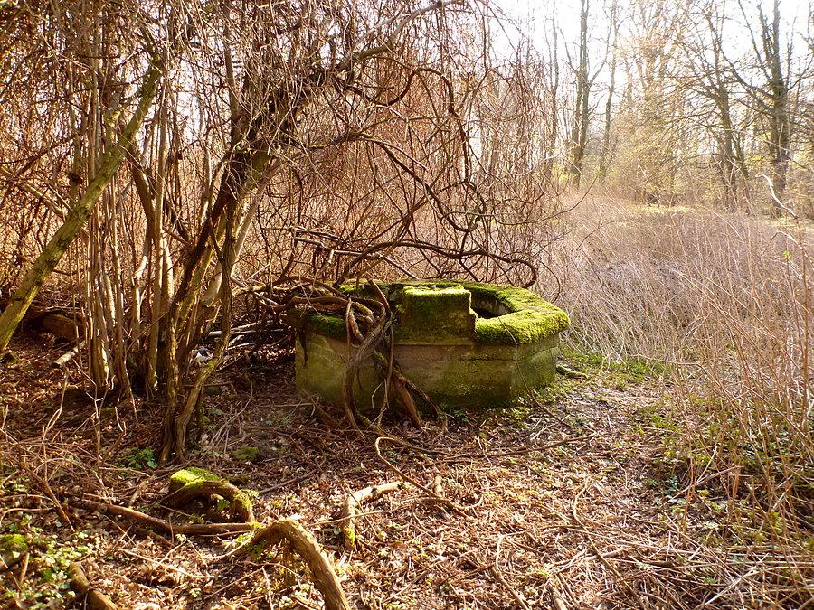 Studnia w Alt Buchholtz 53°29'00.0"N 14°34'15.2"E