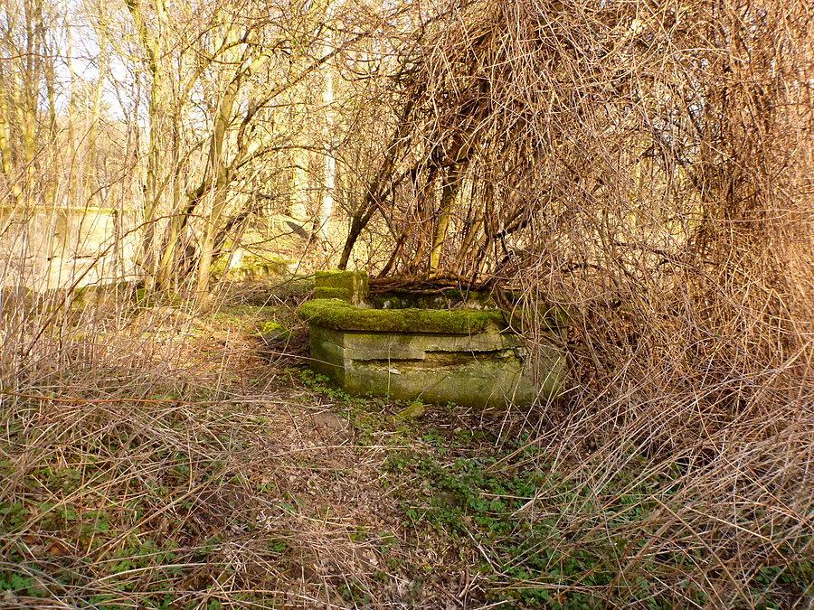 Studnia w Alt Buchholtz 53°29'00.0"N 14°34'15.2"E