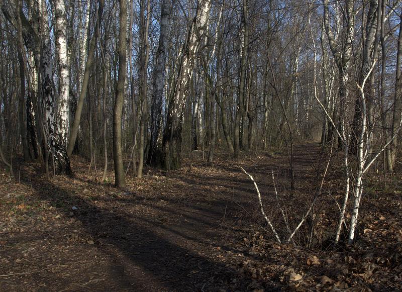 Niespodzianka na Zabskiej rowerówce