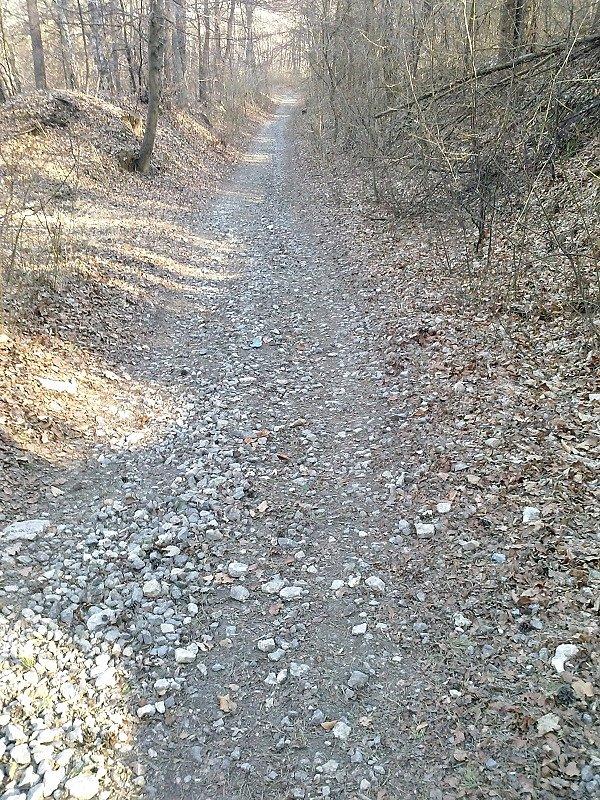 Dalej pod górkę na Bukowicę