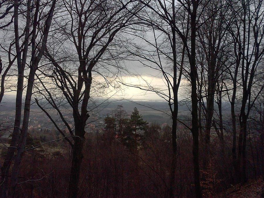 Widok z Lipowca
