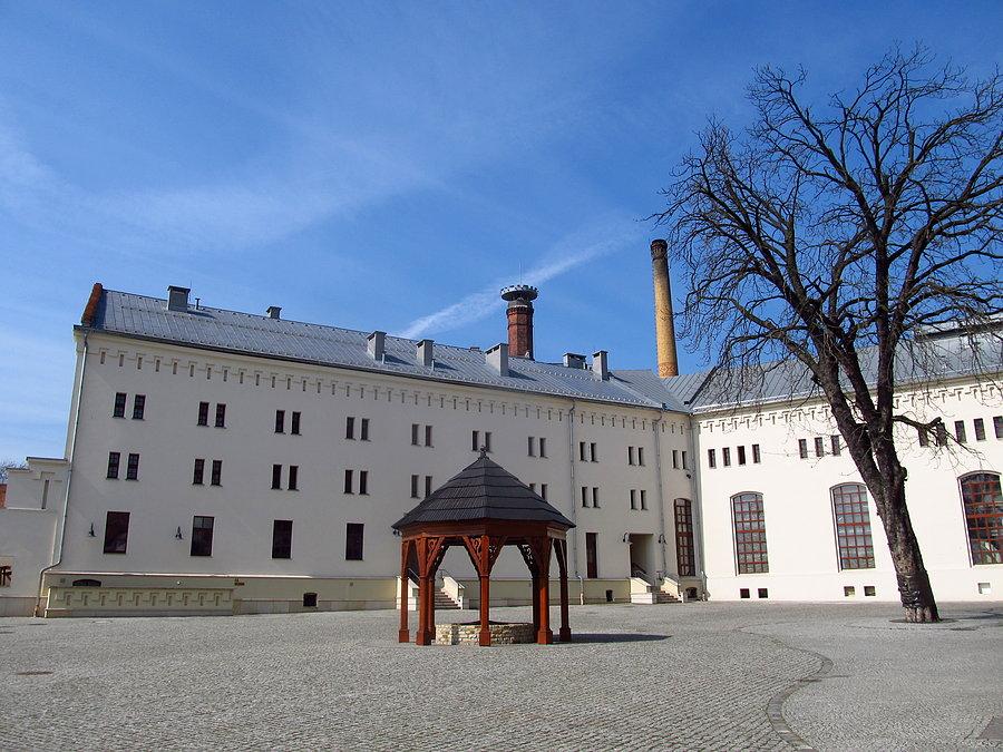 Zamek piastowski w raciborzu