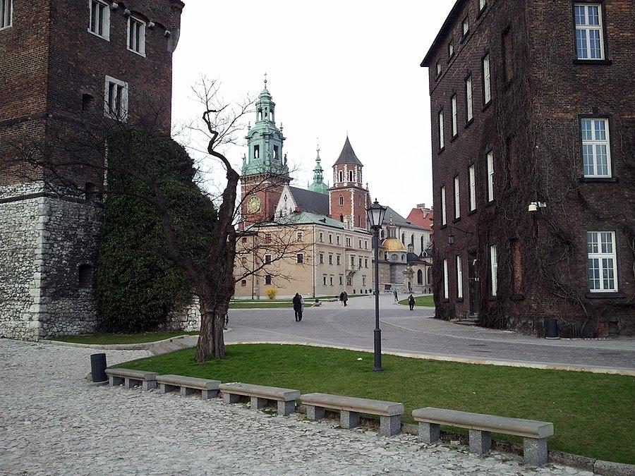 Mały widoczek na Wawel