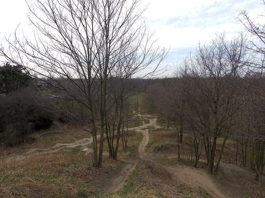 Kilimandżaro