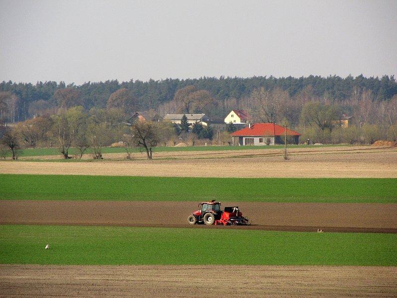 Na polach praca wre
