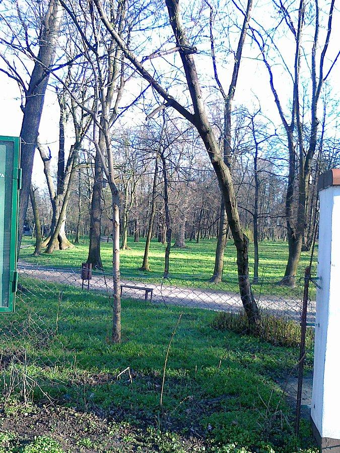 Park Miejski