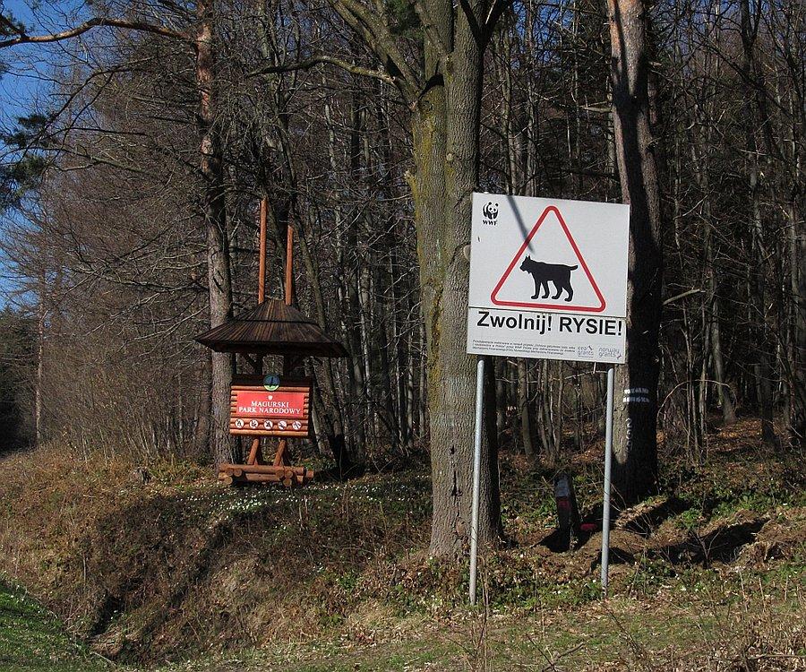 Takie atrakcje tylko na Południu ;)