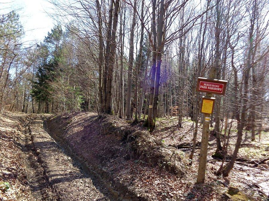 Wlatujemy do Parku Narodowego