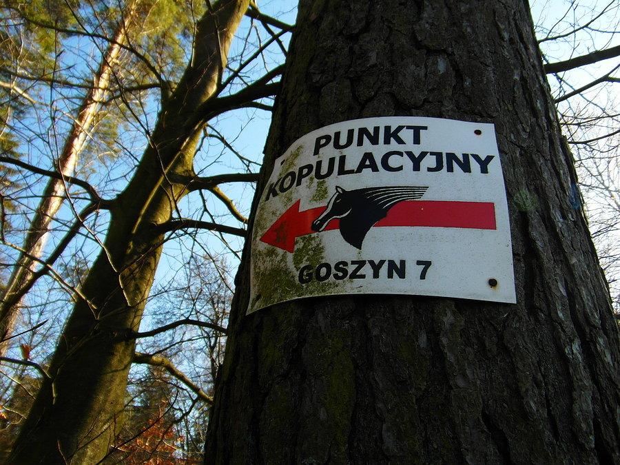 Do punktu....)))