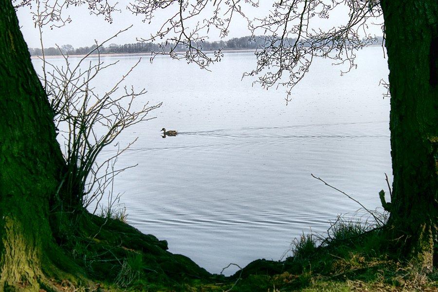 Chwila nad Miedwiem