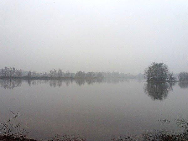 Mgła nad stawem