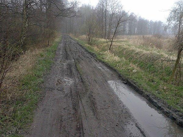Błotnista szutrówka