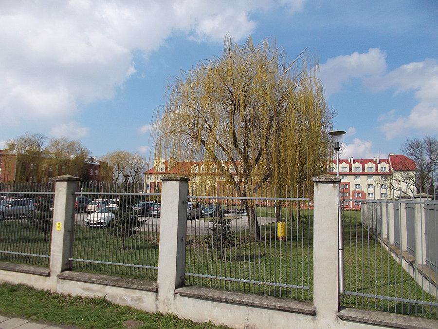 Kalisz - COSSW