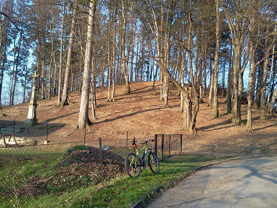 Gródek w Rożnowie