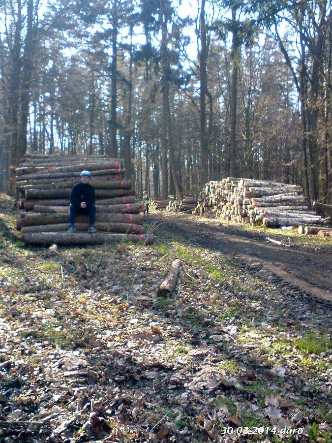 30-03-2014. Krótki odpoczynek za Sobowidzem, na przydrożnym leśnym parkingu