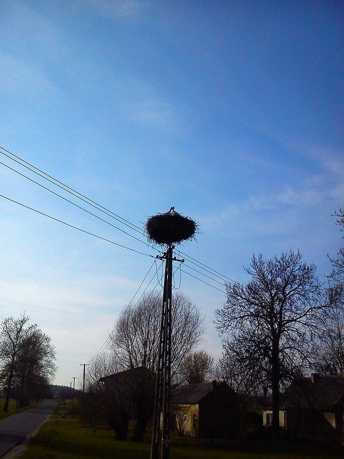 Są na miejscu !