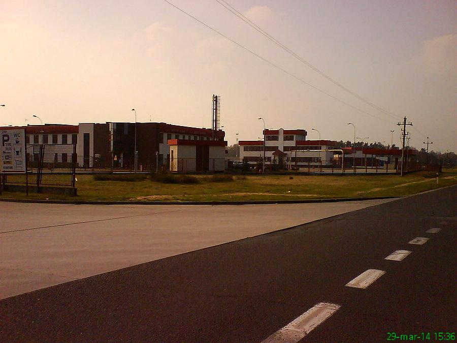Olszyna. Wymierający terminal