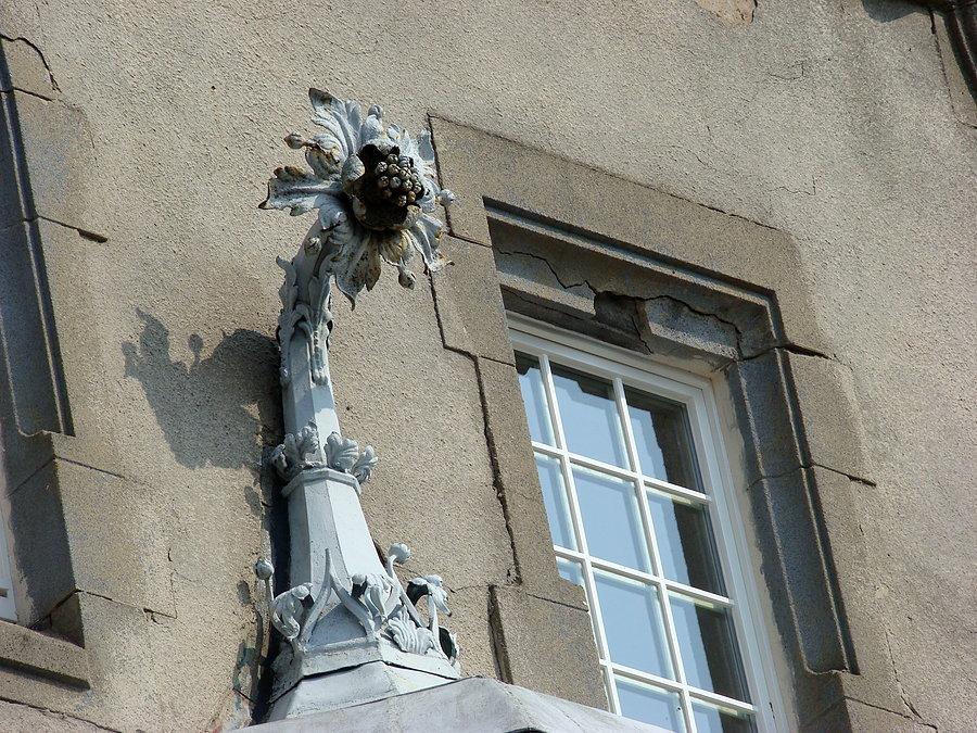 Stalowy kwiat