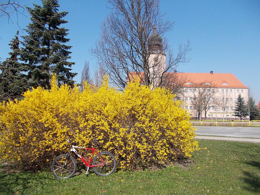 Takie żółte