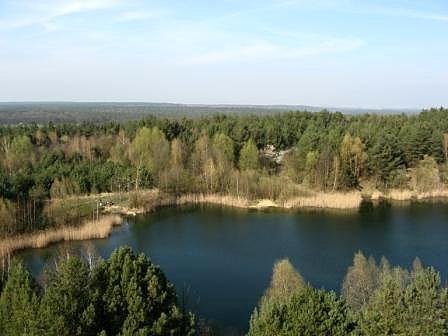Widok z wieży