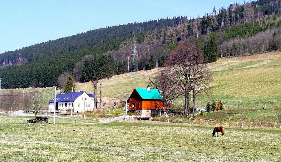 Czechy, Holcovice