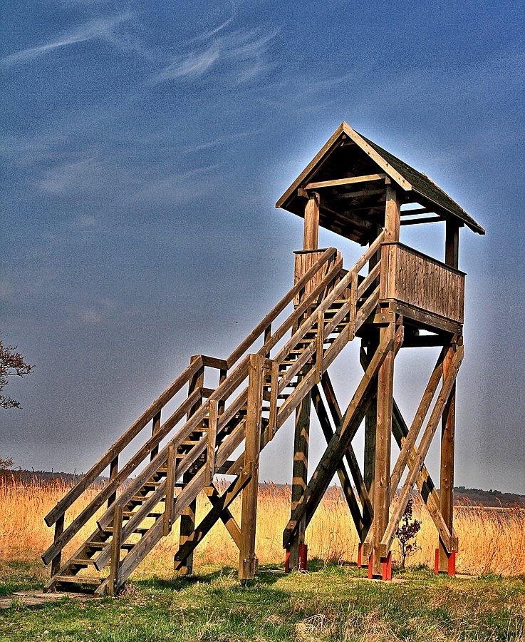 Wieża widokowa koło Rieth