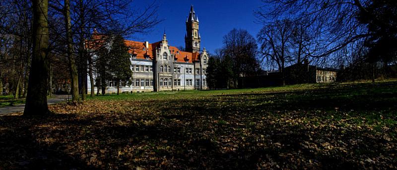 Pałac w Nakle Śląskim