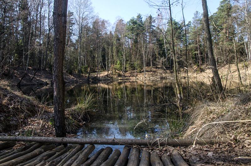 Kolejny staw