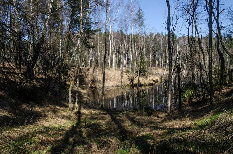 Gdzieś tutaj po lewej powinny być jakieś resztki kopalni