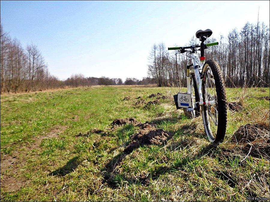 ... jest poprowadzony rowerowy szlak