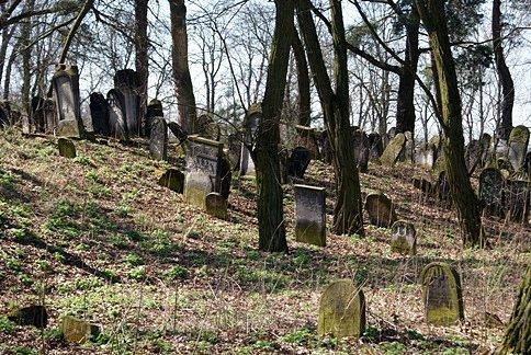 Widok z ulicy na cmentarz żydowski w Piotrkowie Trybunalskim