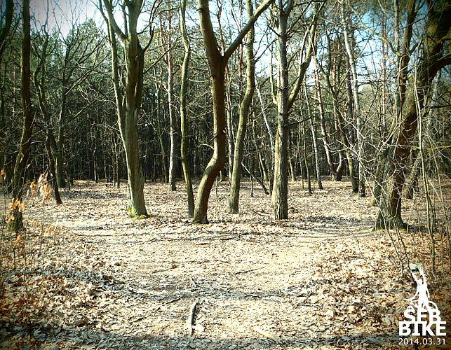Kampinos