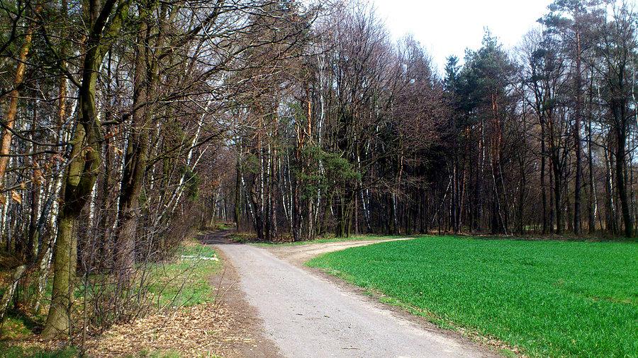 Ścieżka