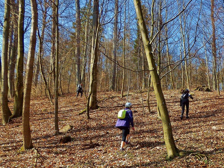 Tą drogą docieraliśmy do kamienia. Kamień Skarbów - Skarbowiec
