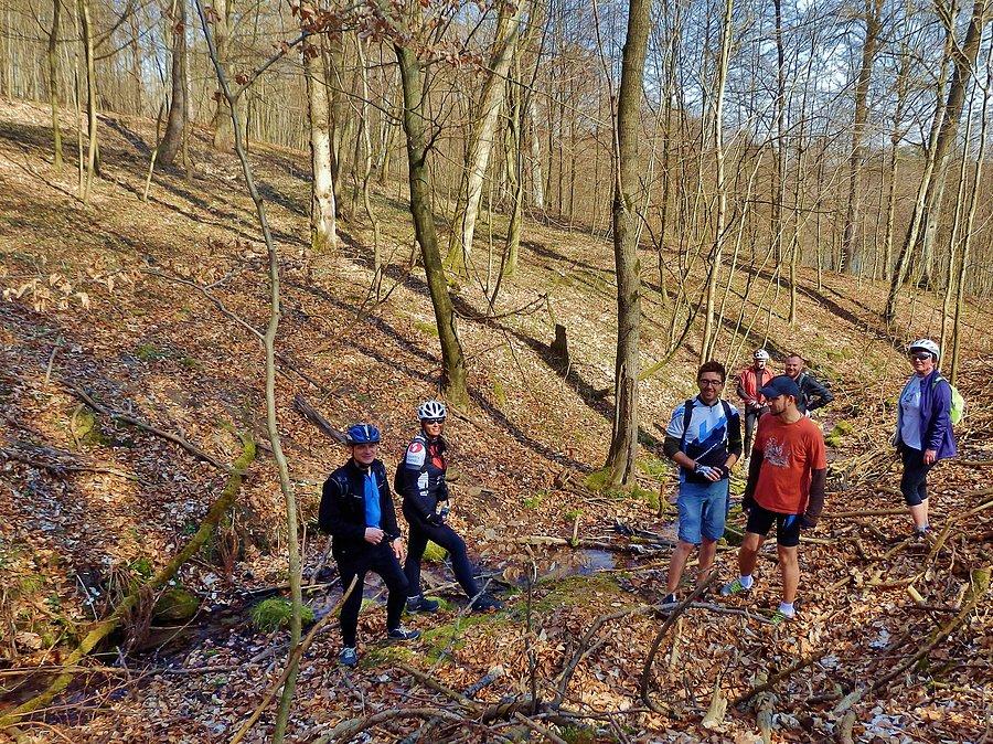 Tą drogą docieraliśmy do kamienia.Kamień Skarbów - Skarbowiec