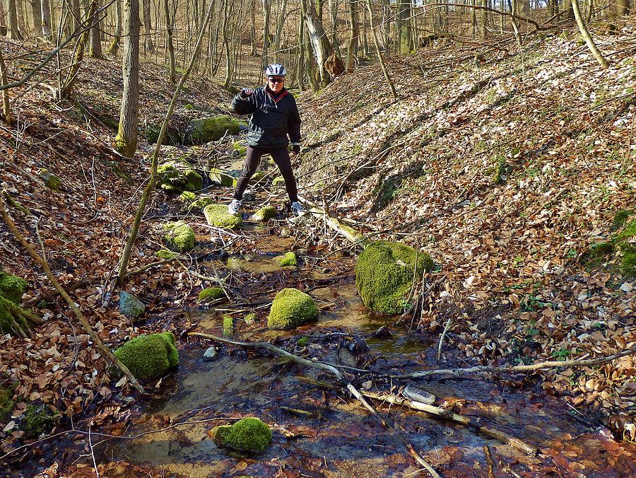 Tą drogą docieraliśmy do kamienia.Kamień Skarbów - Skarbowiec