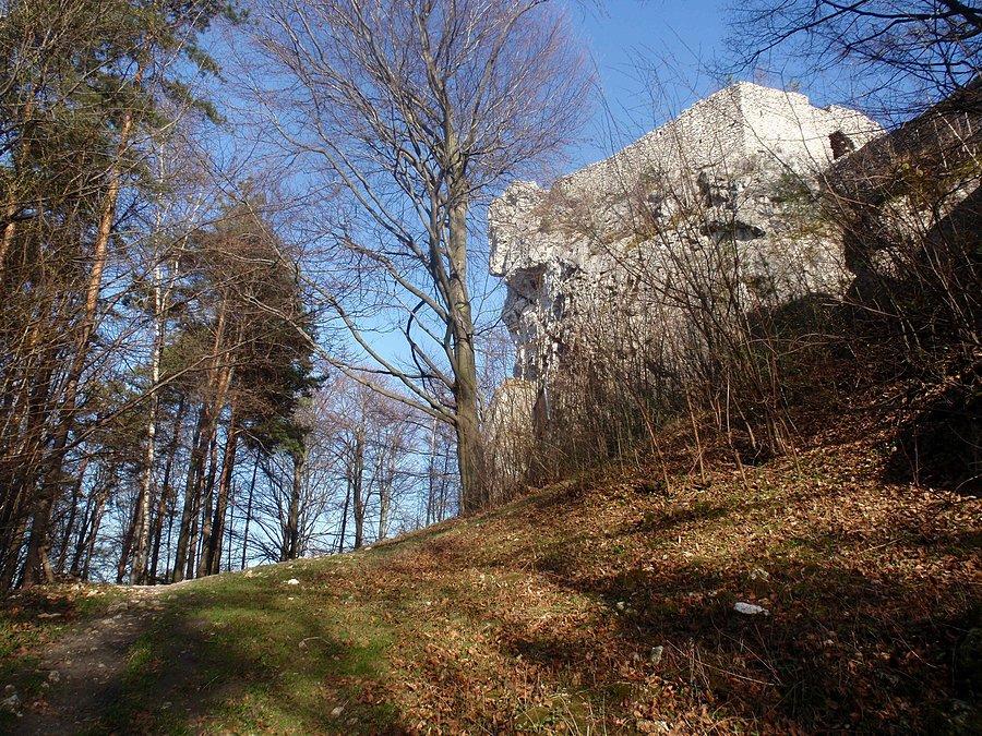 Zamek Bąkowiec w Morsku