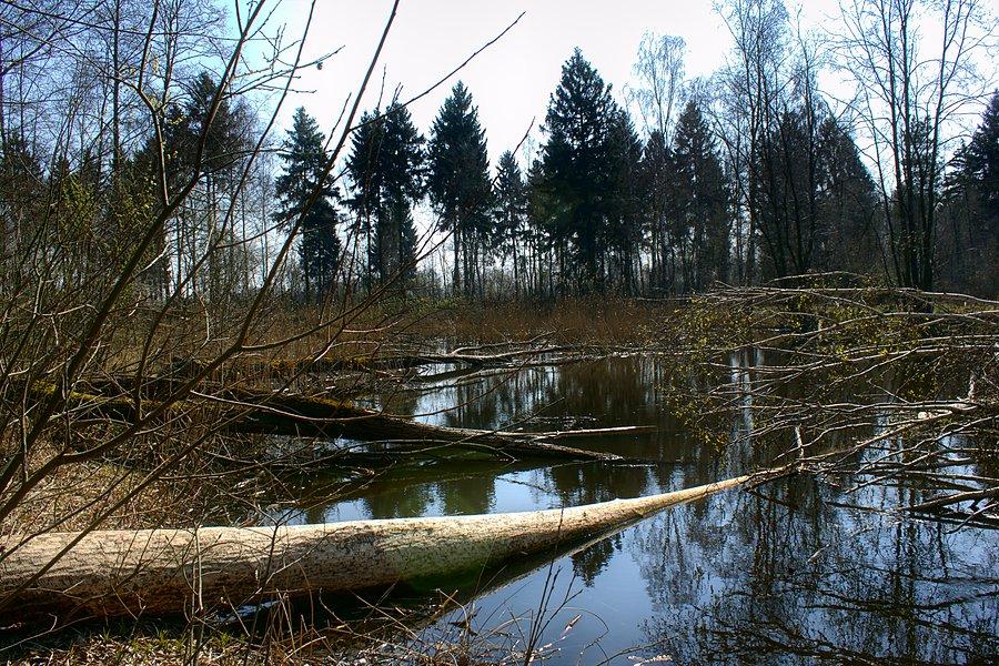 Żabie uroczysko