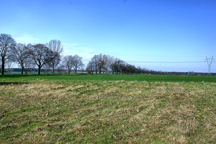 Droga Żarowo - Smogolice