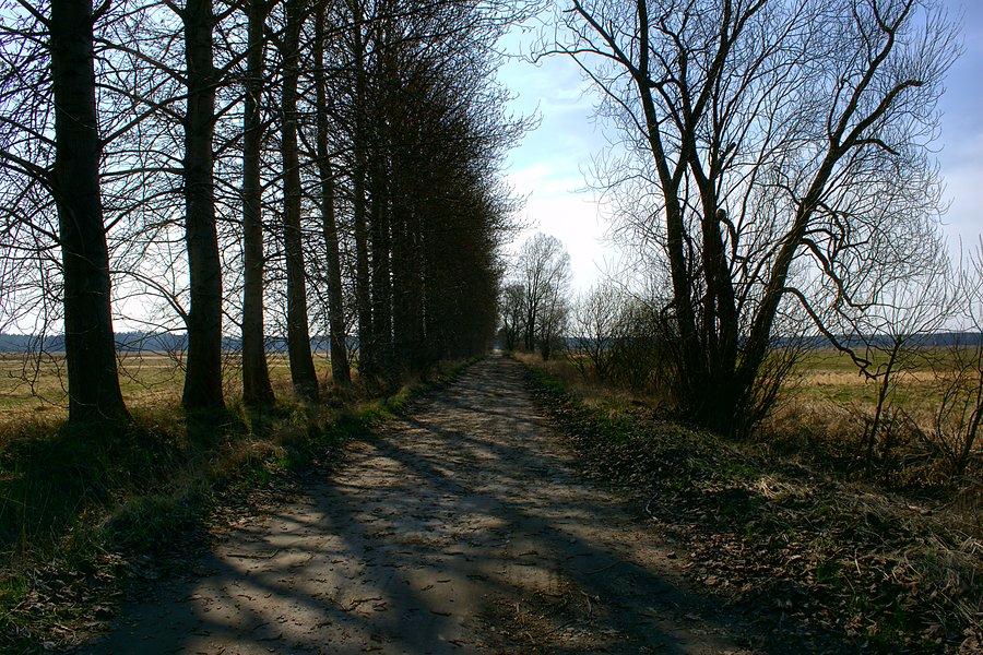 W drodze do Wielichówka