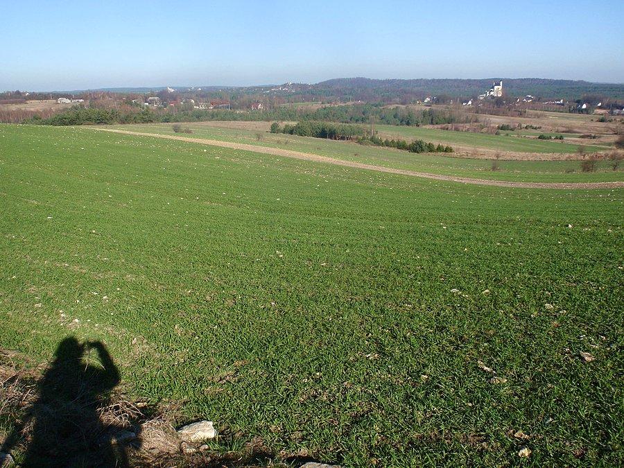 Widok na zamek w Bobolicach