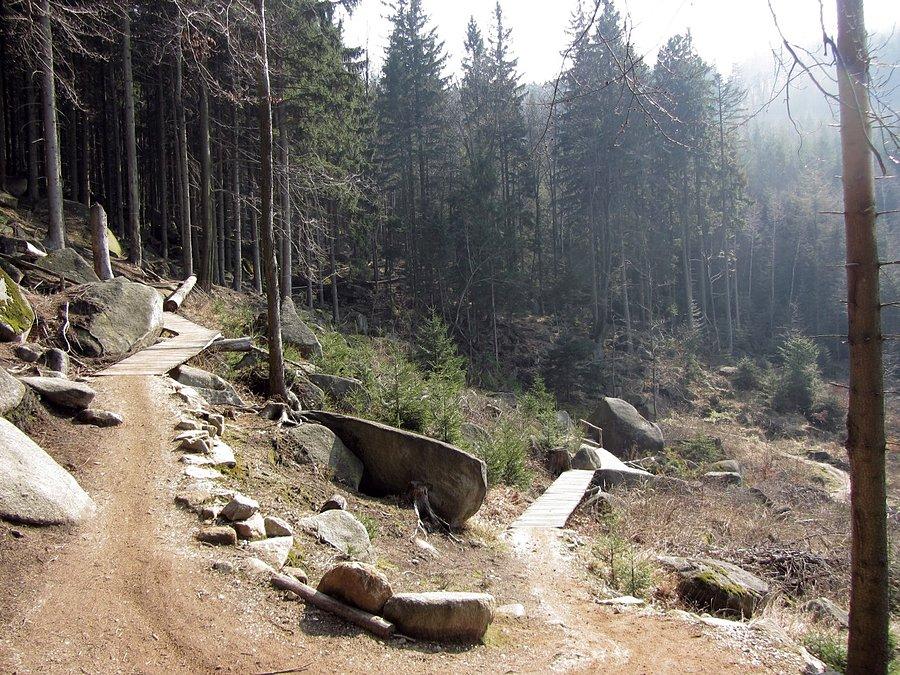 Po kladeczkach do góry