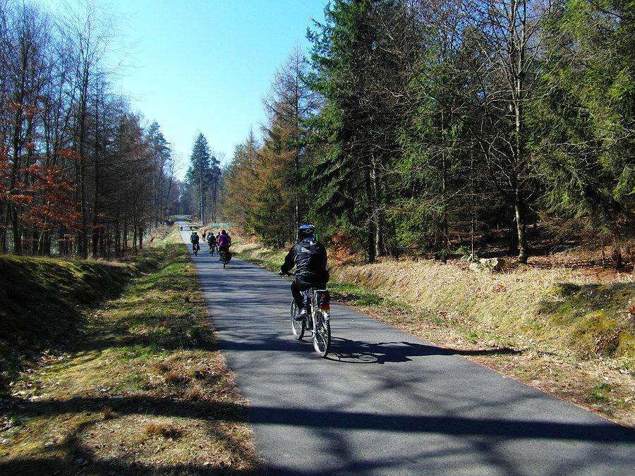 Leśna droga