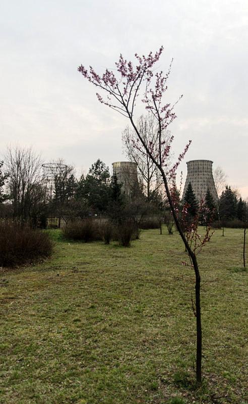 A kawałek dalej nieczynna już elektrownia Halemba