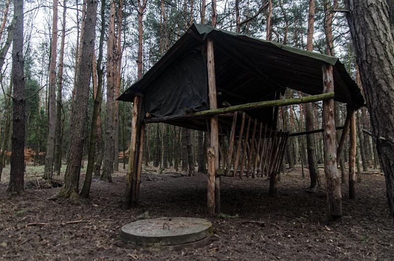 Wielki paśnik