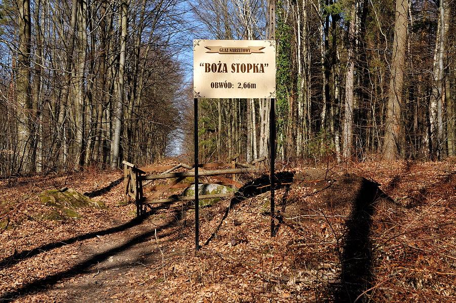 Boża... Stopka