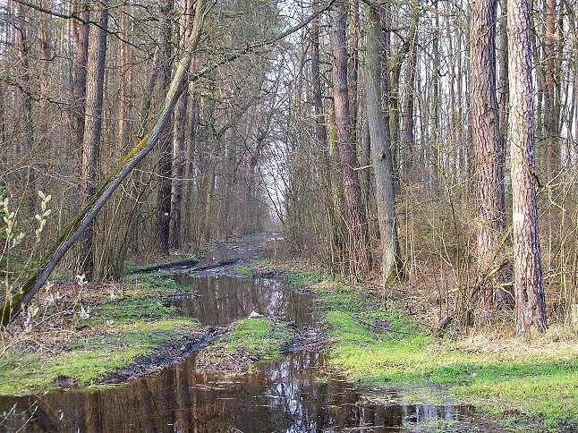 Ściezka zrobiła się dostepna jedynie dla jeźdźców