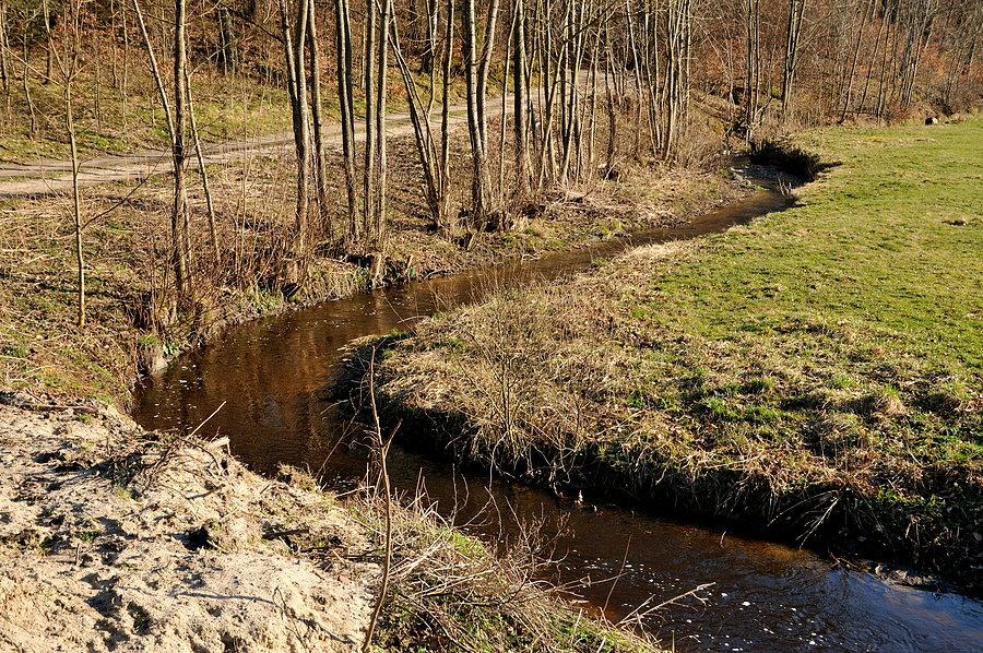 Gościcina w Grabowcu