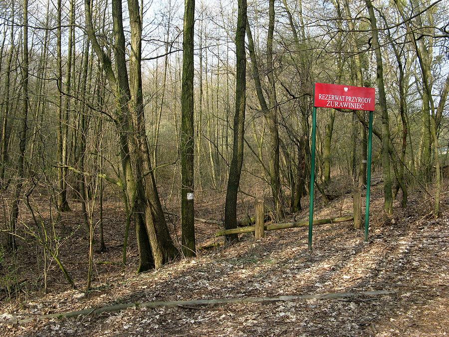 Rezerwat Żurawiniec