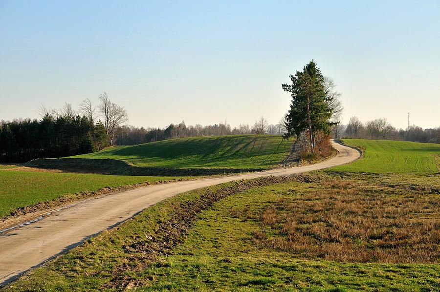 Bajkowy terenik